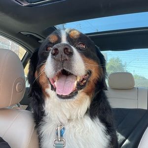 Meet your Posher, Ines